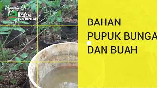 UPDATE Bahan Pupuk Sintetis Bunga Tomat Di Polybag agar Lebat Dan Tidak Rontok