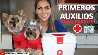 Primeros auxilios para perros- Tips by Natalia Ospina