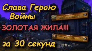 Слава Герою Войны - ЗОЛОТАЯ ЖИЛА!!! (Вторжение на поле / К рейду готов VI)