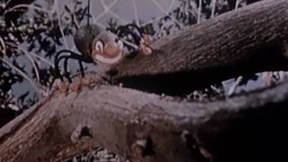 Mother Goose (1946)
