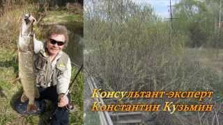 Константин Кузьмин. Полевая микроречка.
