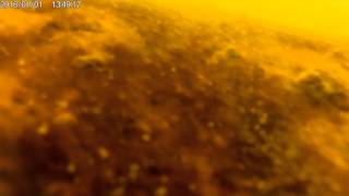 Amkov amk7000s съемка видео под водой в мороз -10 градусов