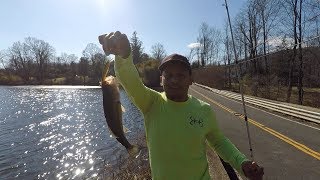 El mejor señuelo para la pesca de bass (lobinas ) en invierno (el jerkbait)