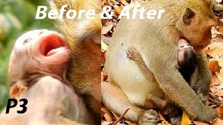 Finally !! CLEVER MOTHER ! Happiness Leyla new Idea get baby back | Lola hug mom with warm milk.