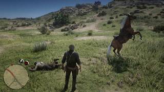 Getting hit by a horse (Read Dead Redemption 2)