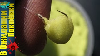 Мамалыга для рыбалки из кукурузных палочек.Как сделать мамалыгу для рыбаки .