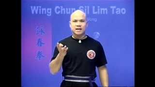 Wing Chun kung fu siu lim tao - form  applications Lessons 4-10