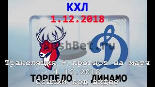 Торпедо НН - Динамо Москва: 1 декабря онлайн. Прямая трансляция + прогноз на матч ? Хоккей