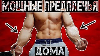 КАК НАКАЧАТЬ МОЩНЫЕ ПРЕДПЛЕЧЬЯ И УКРЕПИТЬ СВЯЗКИ ДОМА? 5 ЛУЧШИХ УПРАЖНЕНИЙ