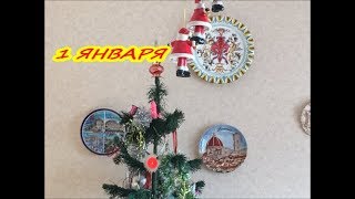 1 ЯНВАРЯ НА ДАЧЕ / ЧТО САЖАТЬ 1 ЯНВАРЯ / КАК ЗИМУЕТ ГЕРАНЬ