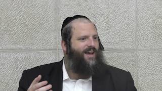 שירה בפה מלא - חזקיהו ושירת כנף הארץ - וועד בספר ימלא פי תהלתך למרן הגראי"ל שטינמן זצ"ל