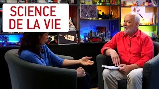 C'est quoi la biologie évolutive ? - Interview du Mag de la science