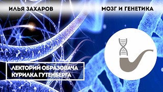 Илья Захаров — Мозг и генетика