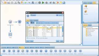 Creating a Decision Tree with IBM SPSS Modeler