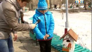 В Саратове подвели итоги конкурса на лучшее жилье для птиц