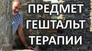 Предмет гештальт терапии Даниил Хломов 2013