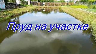пруд на даче.ловля карася,щуки...