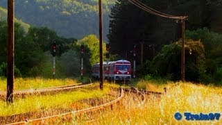 Two Trains on Sunset in Bratca (21 07 2013)