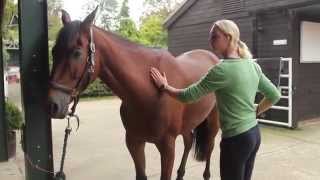 Sharon Hunt demonstrates the Heiniger Xplorer Clippers