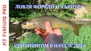 ФОРЕЛЕВЫЙ РЕЛАКС! Ловля форели и хариуса спиннингом! Блесна VS воблер