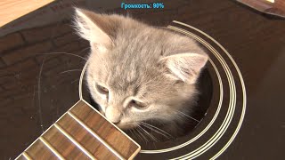 Распаковка и обзор струн для гитары ROTOSOUND