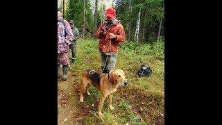 Р.Г. Дон  вл.Горшков С.А.