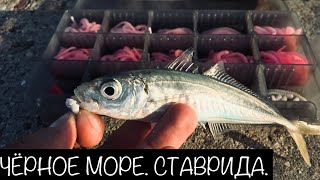 Рыбалка на Черном море. Ловля Ставриды. Первая Морская Рыбалка.