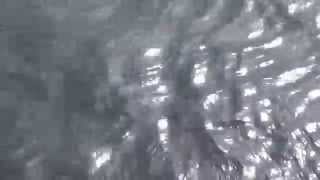 Прозрачная  водица