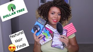 Dollar Tree Haul for my Natural Hair |  New Items