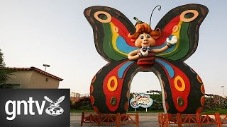 Watch species of butterflies at Dubai Butterfly Garden