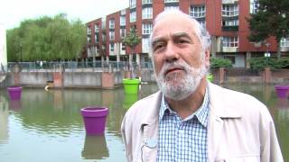 Guyancourt : Sauvez les canetons !