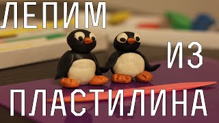 Как слепить из пластилина пингвина. How blind from plasticine penguin.