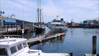 Seven Seas Whale Watch