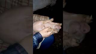 TRIM 20140304 082350