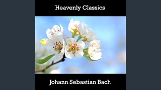 Brandenburg Concerto No- 5 in D Major, BWV 1050 I- Allegro