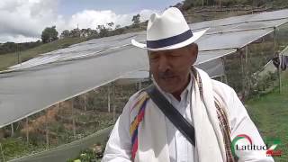 Finca silletera  "El Chagualo"