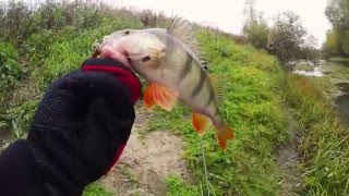 окуни на съдебную резину Lucky John  Rock Craw микроджиг весной