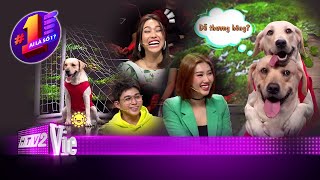 Trường Giang, Diệu Nhi, Jun Phạm nhập hội fan cuồng vợ chồng chó Củ Cải - Kim Chi | #5 AI LÀ SỐ 1?