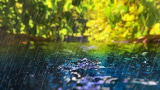 Rain Sounds + Gentle Stream | Sleep, Study, Focus | White Noise 10 Hours
