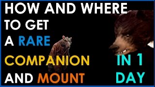 NEVERWINTER PS4 HOW TO GET A RARE MOUNT AND COMPANION IN 1 DAY