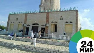Папа Римский осудил теракт на Синае - МИР 24
