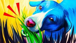 Почему собаки едят траву и еще 31 поразительный факт