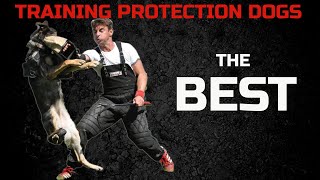 This is how i was  trained protection dog sport at one of my seminars in Germany !!!