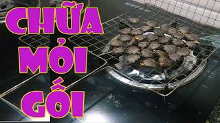 Chỉ cần vài Hạt Gấc, đau lưng, mỏi gối nặng đến mấy cũng khỏi dứt điểm [cách chữa bệnh đau lưng]