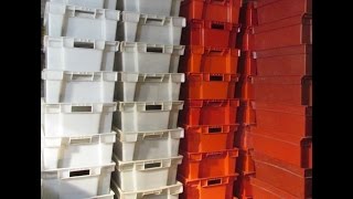 Бизнес. Разведение Дендробены.Закладка маточника. 1часть.