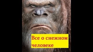 Йети снежный человек есть ли он на самом деле.Все о снежном человеке .