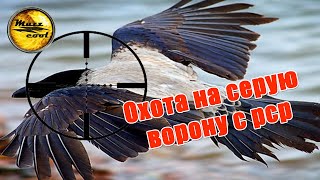 Отличная охота на ворону с рср пневматикой.