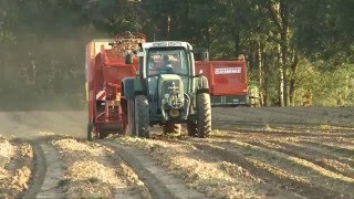 GRIMME SE75 55 Zwiebelroden (Уборка лука)