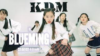 [위례KDM댄스] BLUEMING - IU Choreography｜위례 어린이전문반 'K-DreaM' ｜