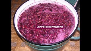 ДОМАШНЕЕ ВИНО ИЗ ВИНОГРАДА. Часть 3 - тихое брожение вина